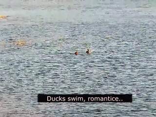 Romantic Blowjob on the Beach of Love with Ducks: dirty video 01 | xHamster